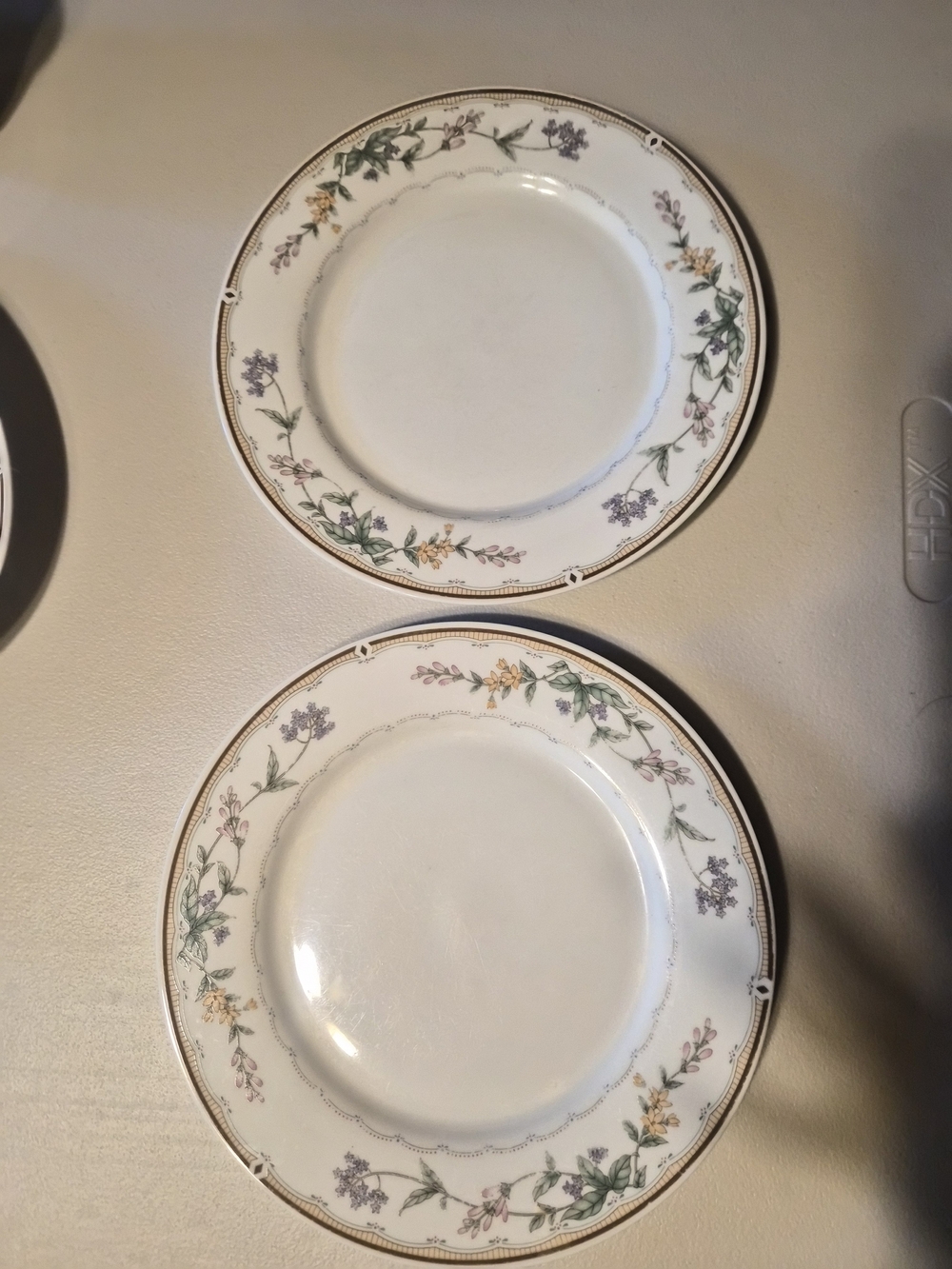 Bellegarden by Citations China Dinner Plates